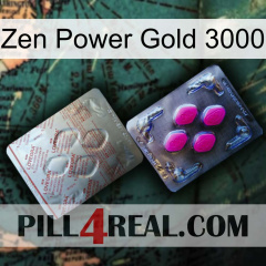 Zen Power Gold 3000 38